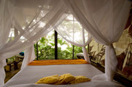 Comfortable Beds