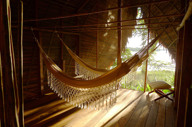 Relax In A Hammock