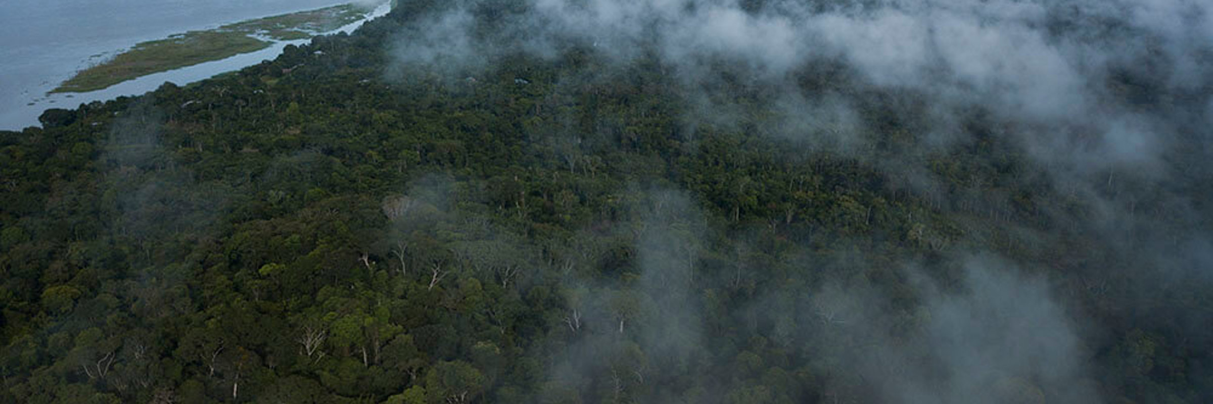 The Amazon