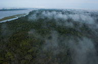 The Amazon