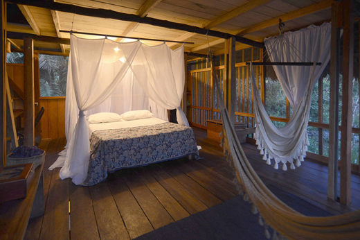 Your Home In The Jungle