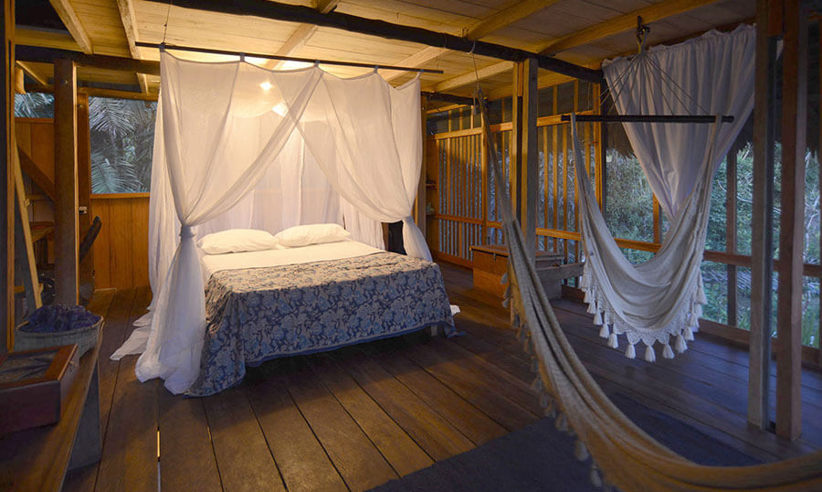 Your Home In The Jungle
