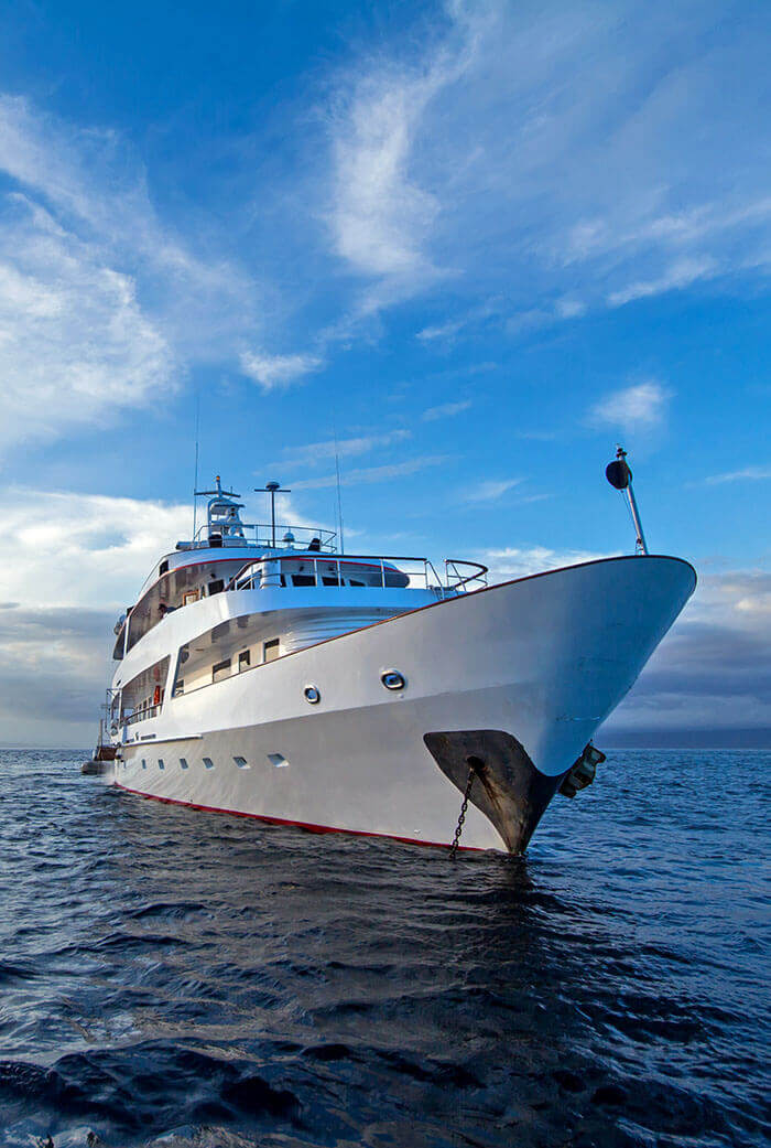 The elegant M/Y Passion 