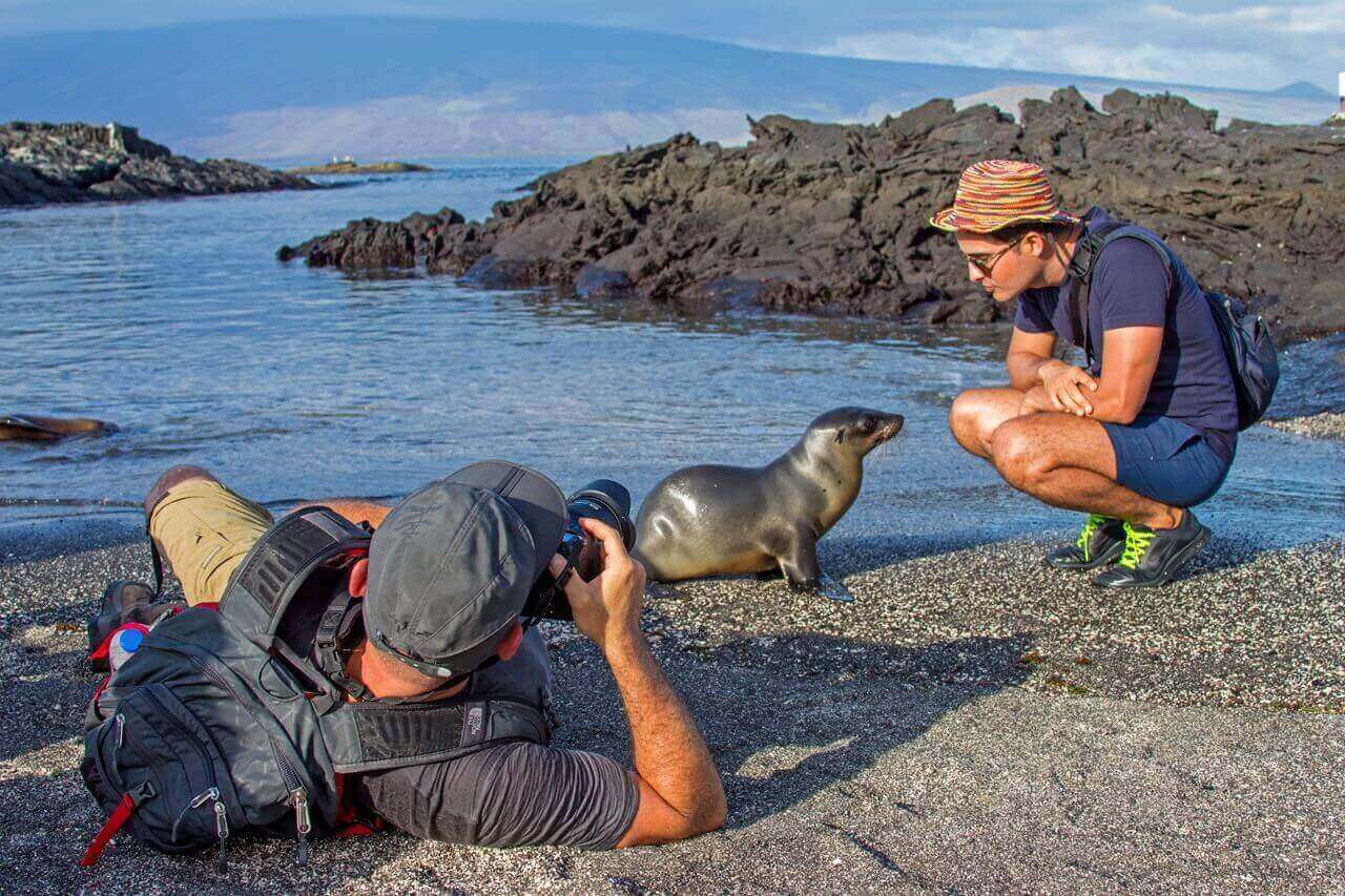 Getting safely close to the wildlife - quite magical