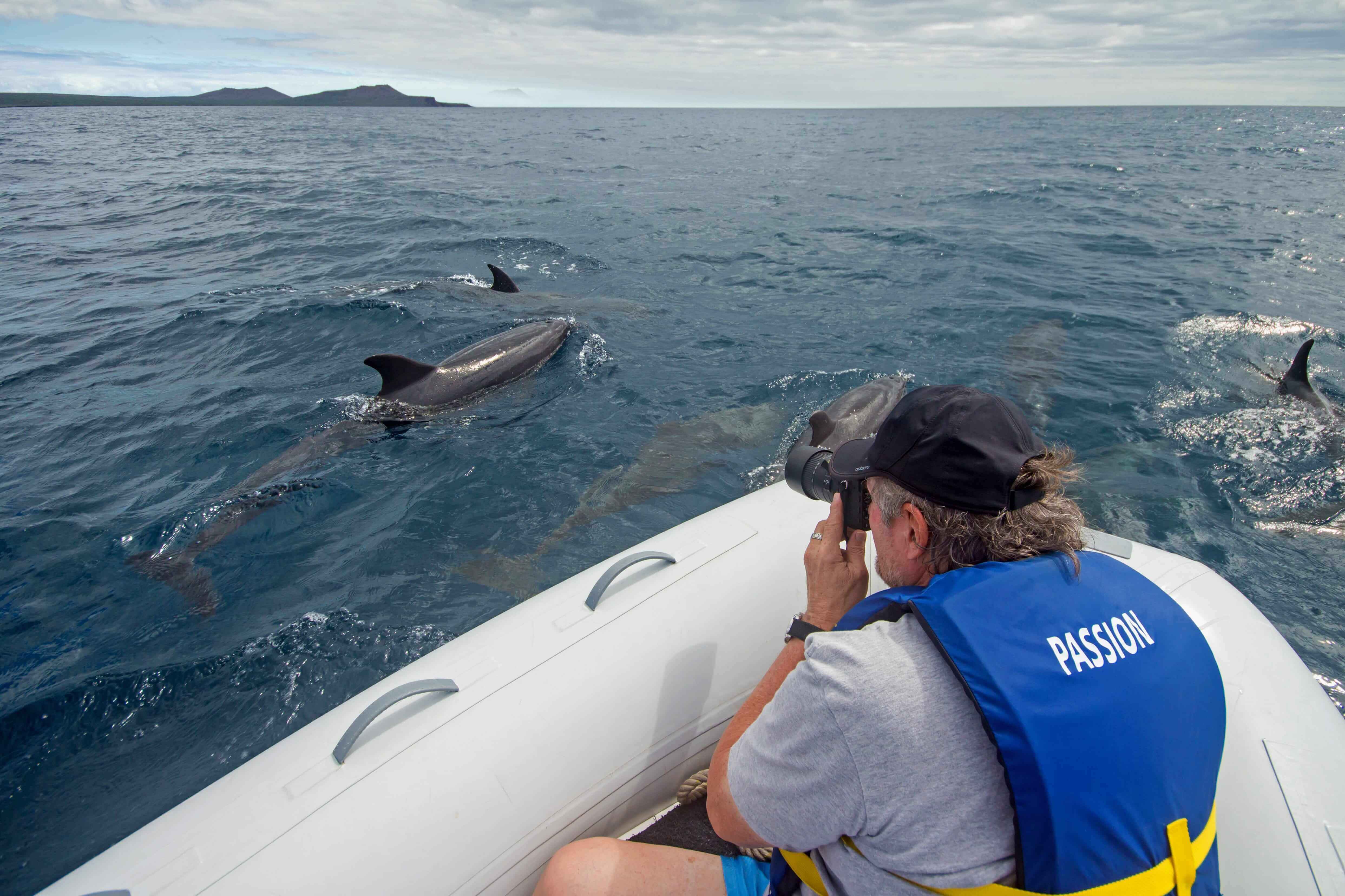 Enjoy daily excursions with expert naturalist guides