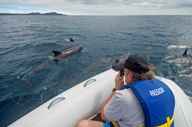 Enjoy daily excursions with expert naturalist guides