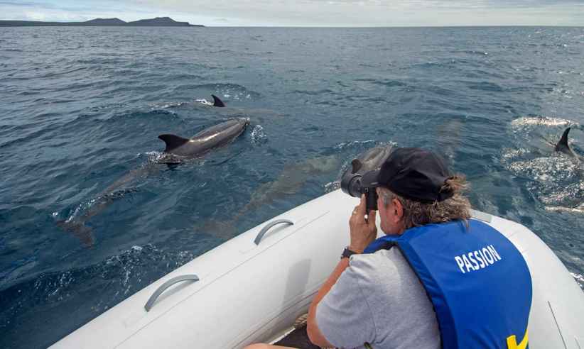 Enjoy daily excursions with expert naturalist guides