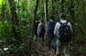 Enjoy guided hikes in the rainforest 
