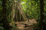 Exploring the rainforest