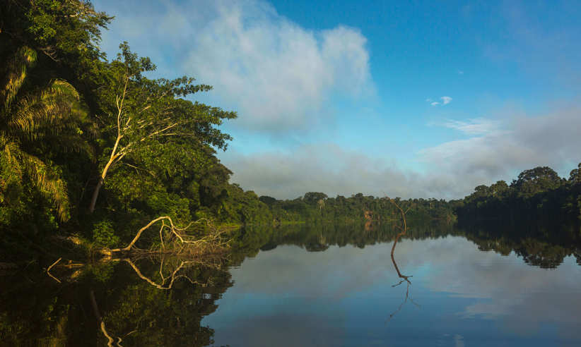 Discover lakes, streams and rivers in the Amazon