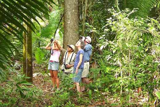 LAMANAI JUNGLE TRAIL