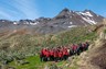 Exploring South Georgia on a guided excursion ashore 