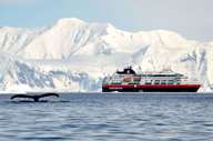 Whale watching is one of the wonders of your Antarctica adventure 