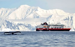 Whale watching is one of the wonders of your Antarctica adventure 