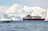 Whale watching is one of the wonders of your Antarctica adventure 
