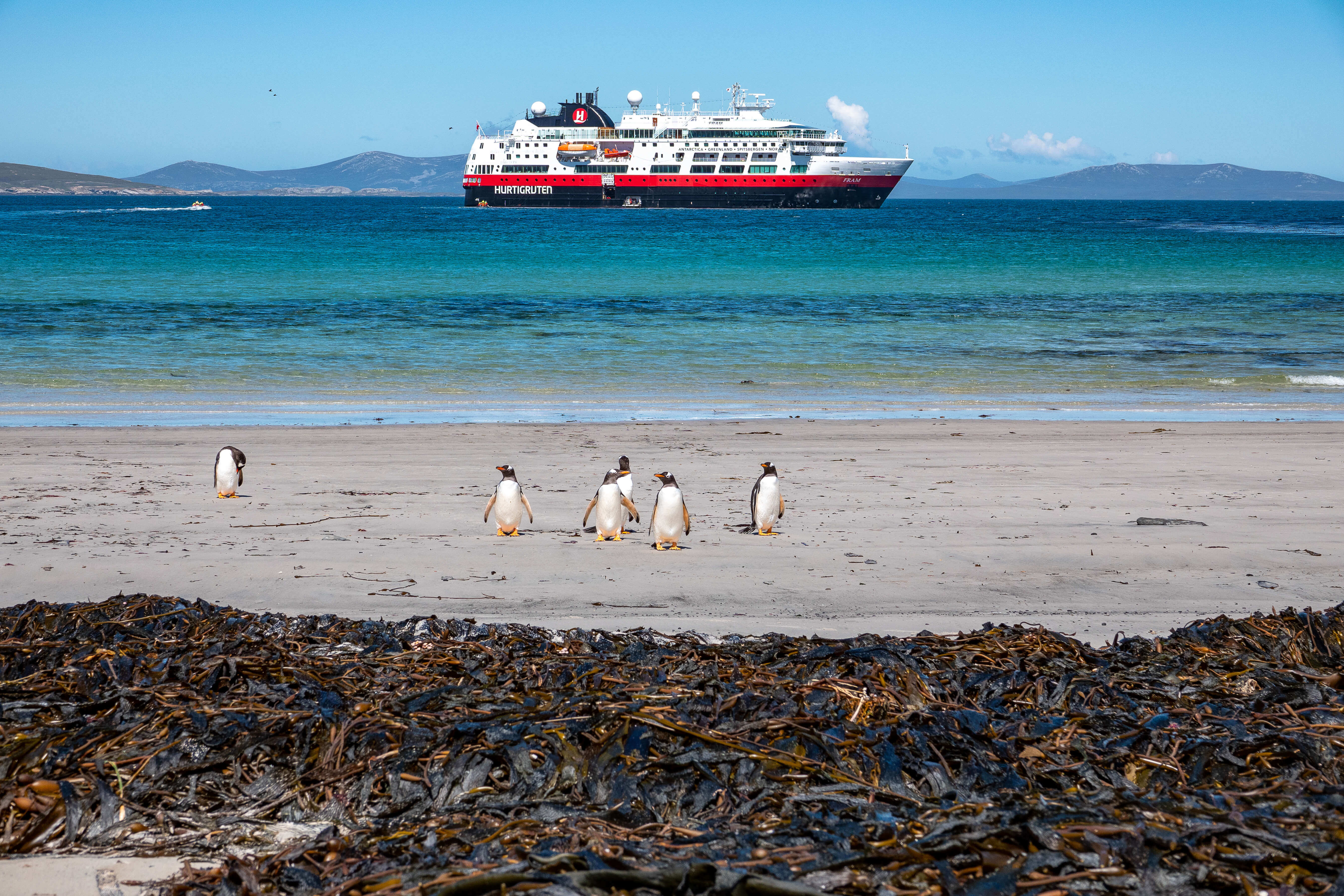 Join the MS Fram and explore the Falkland Islands 