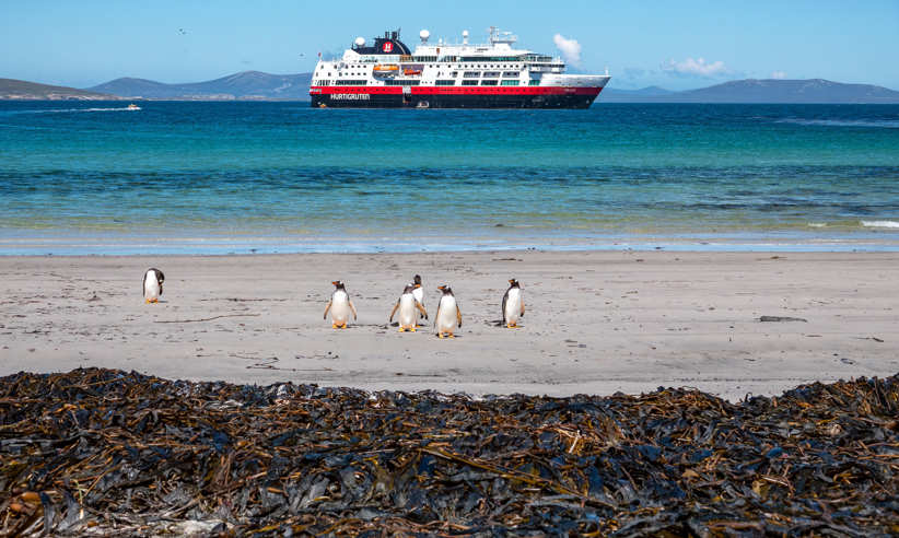 Join the MS Fram and explore the Falkland Islands 