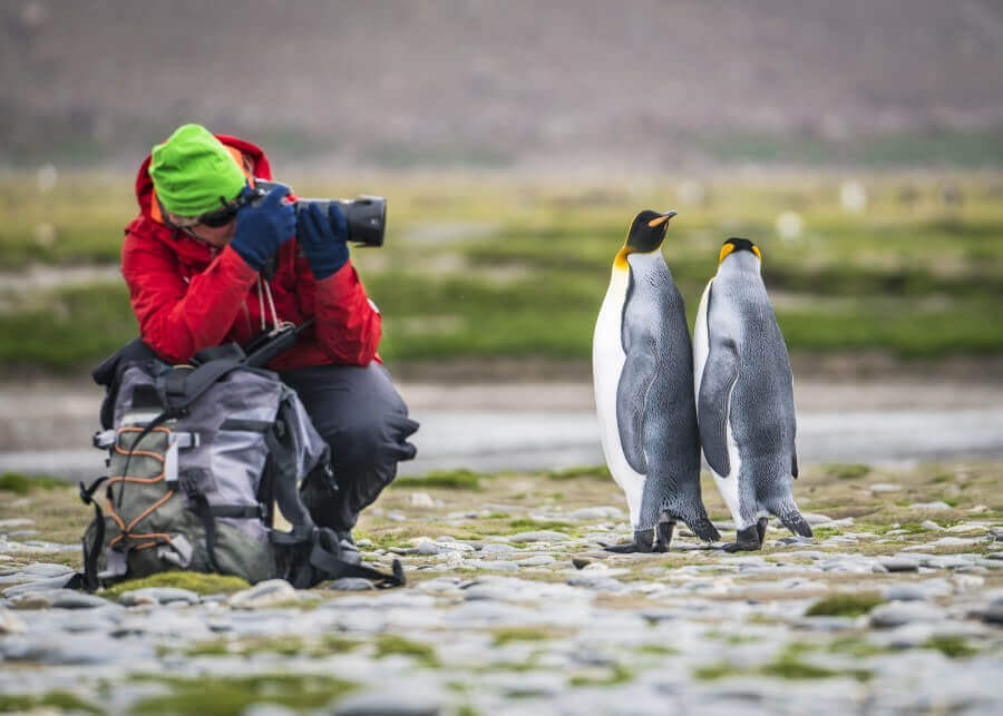 Your expedition cruise is a photographer's dream