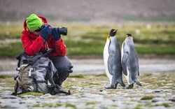 Your expedition cruise is a photographer's dream