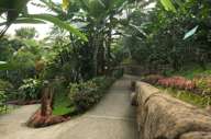Buenavista Garden 01