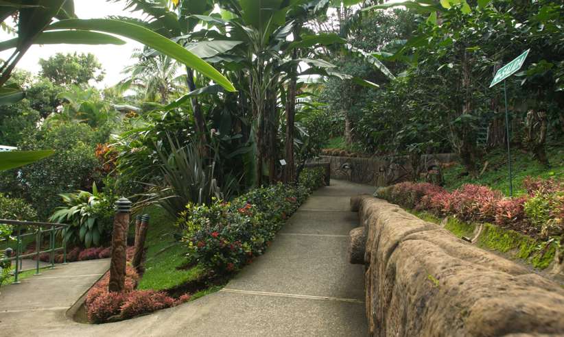 Buenavista Garden 01