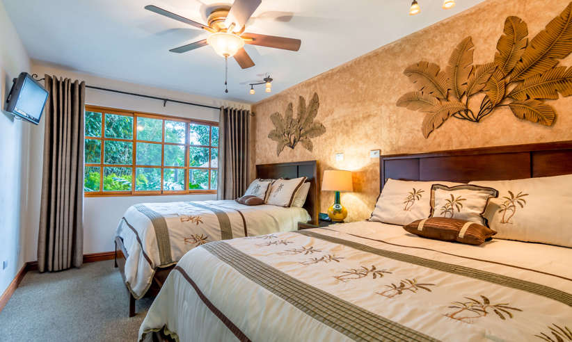Buenavista Room 01