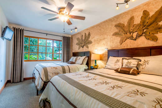 Buenavista Room 01
