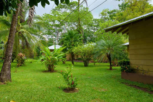 Beautiful gardens to enjoy