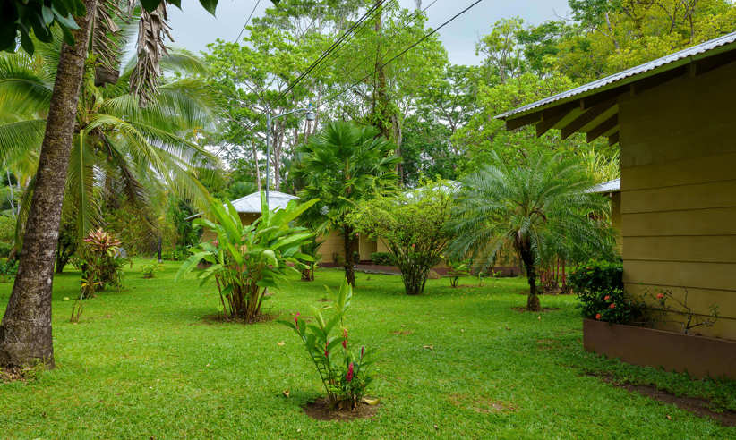 Beautiful gardens to enjoy