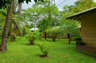 Manatus Garden 01