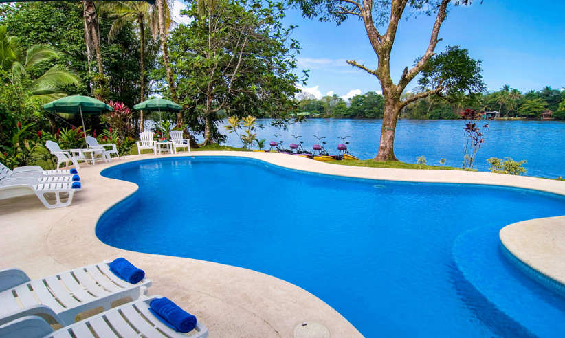 Pool surrounded by tropical forest