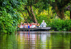 Tourists explore the lush waterways of Tortuguero National Park by boat, guided through the dense tropical jungle. 