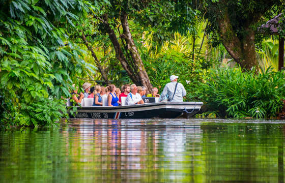 Tourists explore the lush waterways of Tortuguero National Park by boat, guided through the dense tropical jungle. 