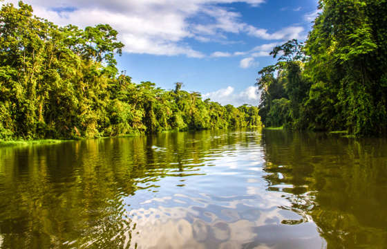 Tortuguero's peaceful canals mirror the sky as lush jungle lines the winding waterway. 