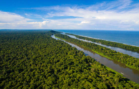 An aerial look at Tortuguero reveals winding canals cutting through dense rainforest toward the sea. 