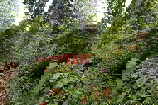 Abbotsbury Subtropical Garden 1 680X452