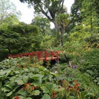 Abbotsbury Subtropical Garden 1 680X452