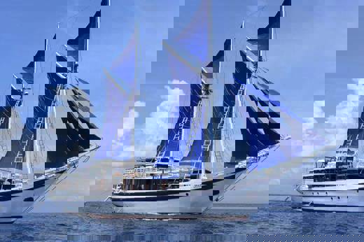 The Katharina 