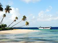 Tranquil tropical beach with leaning palm trees and a traditional Indonesian boat anchored in the turquoise sea. 