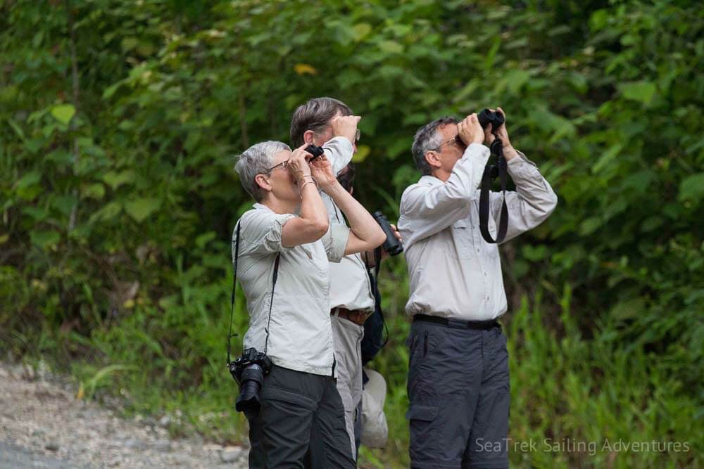 Day 3 Bird Watching