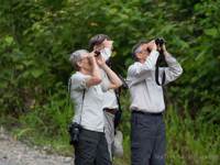 Day 3 Bird Watching