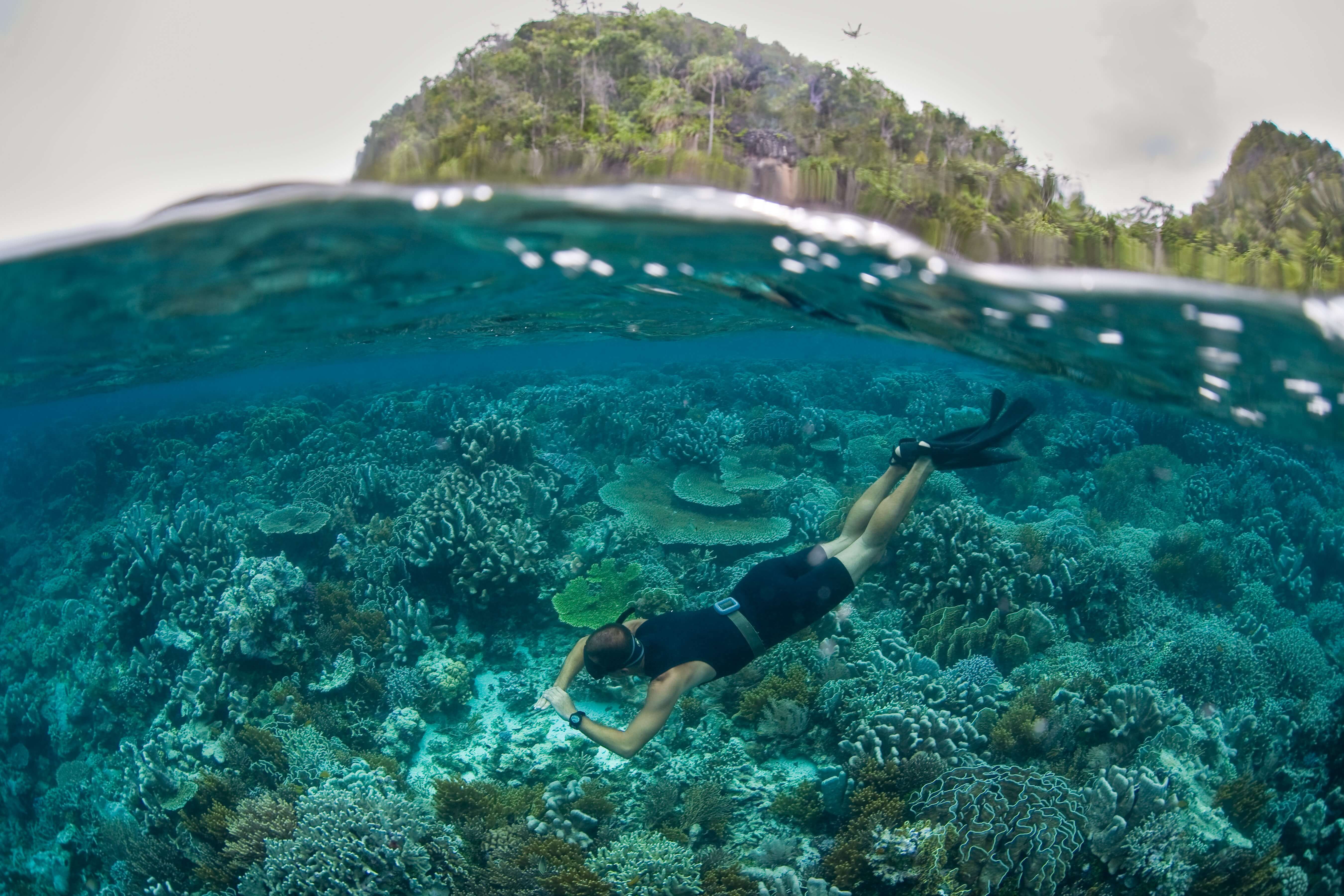 Pristine Marine Park