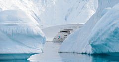 Discover the White Continent