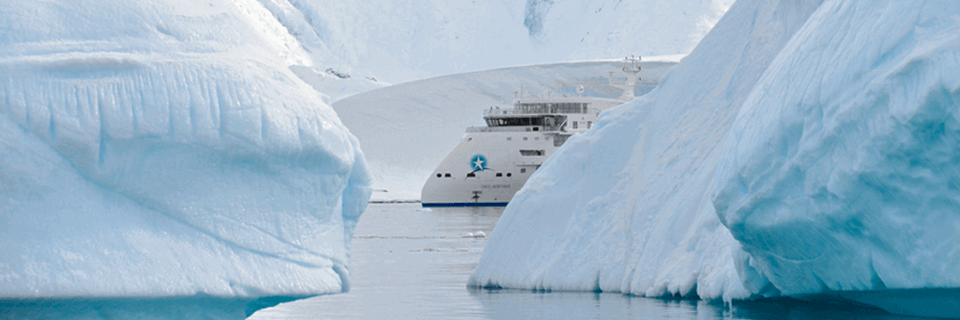 Discover the White Continent