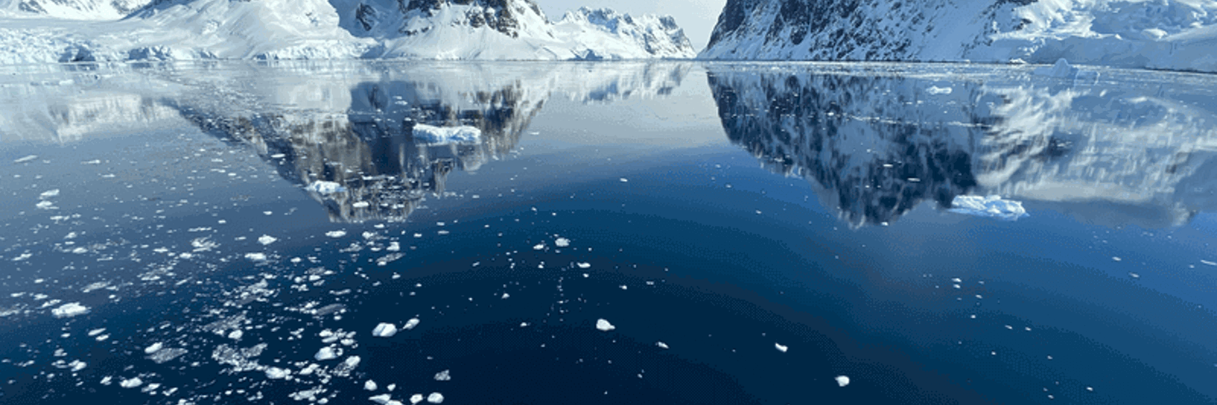 Cruising past icebergs