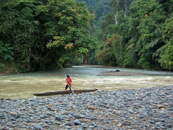 A person crossing a shallow rocky river surrounded by dense jungle in Tangahan, Sumatra, Indonesia. 