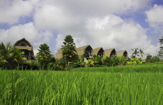Traditional Indonesian village huts with thatched roofs overlooking lush green rice fields under a partly cloudy sky. 