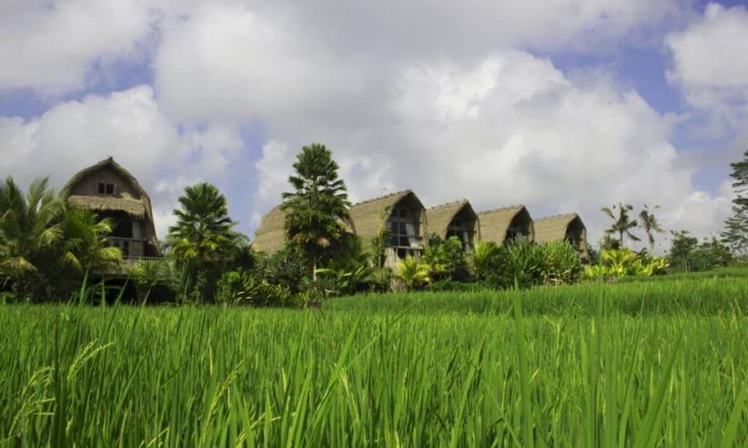 Traditional Indonesian village huts with thatched roofs overlooking lush green rice fields under a partly cloudy sky. 