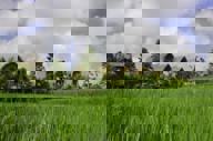 Traditional Indonesian village huts with thatched roofs overlooking lush green rice fields under a partly cloudy sky. 