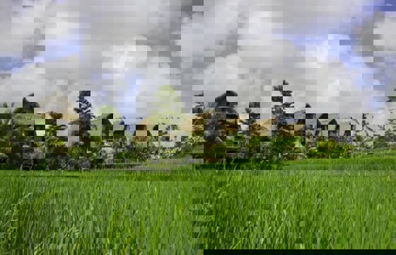 View2 1024X683